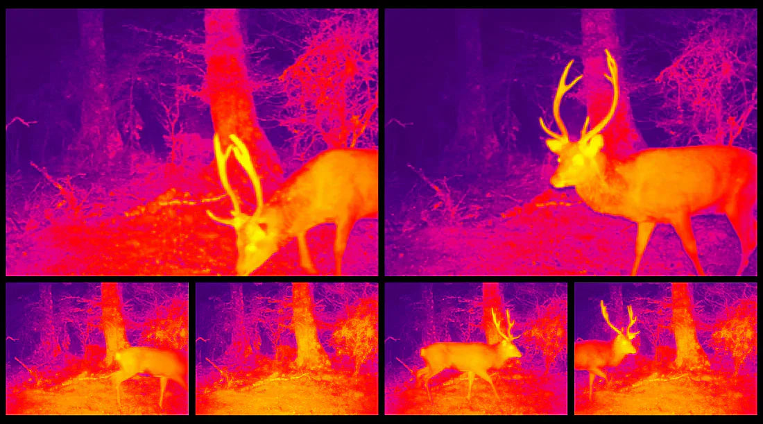 How Thermal Imaging Works